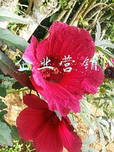 企业营销