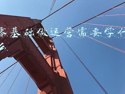 零基础做运营需要学什么