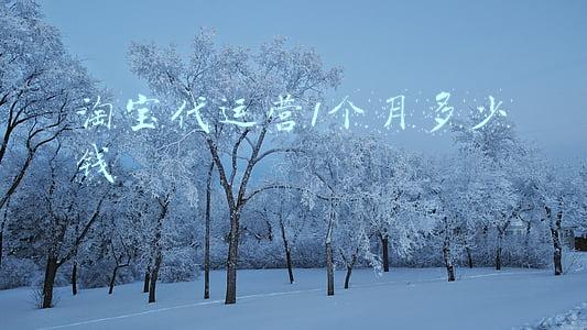 淘宝代运营1个月多少钱(淘宝代运营靠谱吗，一个月多少钱？)