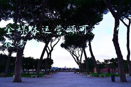 全媒体运营师可以自学报考吗