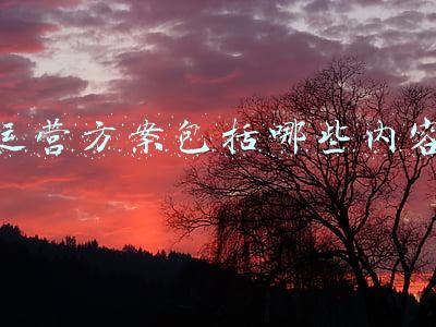 运营方案包括哪些内容
