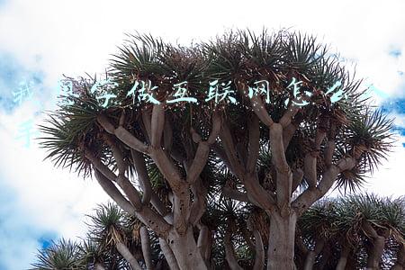 我想学做互联网怎么入手