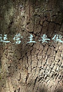 电商运营主要做什么