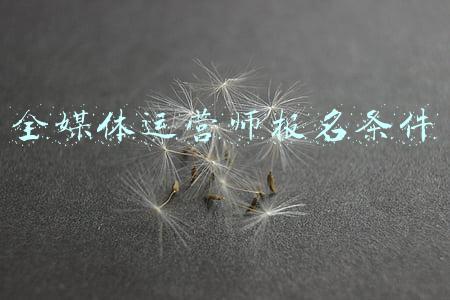 全媒体运营师报名条件