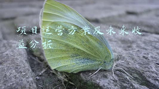 项目运营方案及未来收益分析