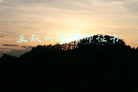 互联网营销师证书