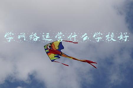 学网络运营什么学校好