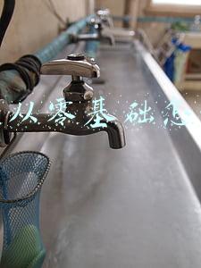 电商从零基础怎么学(娄葑零基础学习电商运营有没有面授课)