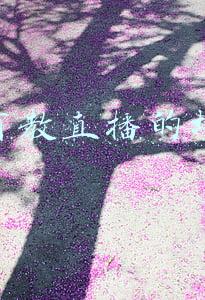 有没有教直播的培训啊