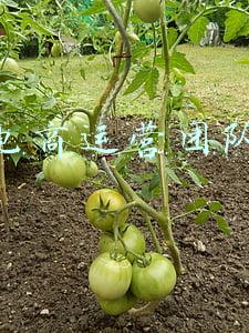 电商运营团队
