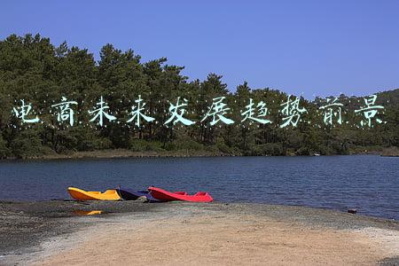 电商未来发展趋势前景