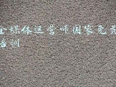 全媒体运营师国家免费培训(领创e学全媒体运营师实战班2022年培训简章)