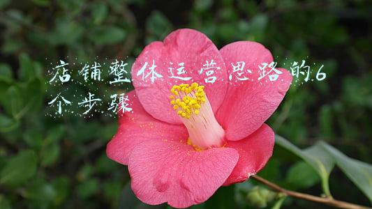店铺整体运营思路的6个步骤