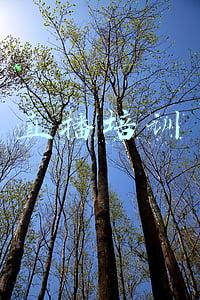 直播培训