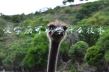没学历可以学什么技术
