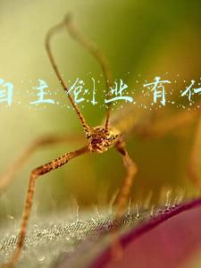 女性自主创业有什么好项目