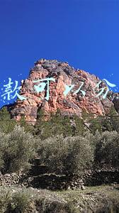 创业贷款可以分期还吗