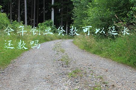 今年创业贷款可以延长还款吗(对受疫情影响商户合理续贷)