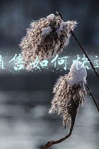 新手销售如何快速入手