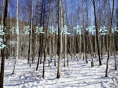 营销管理制度有哪些内容