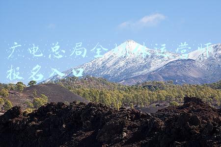 广电总局全媒体运营师报名入口