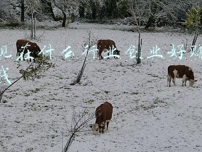 现在什么行业创业好赚钱