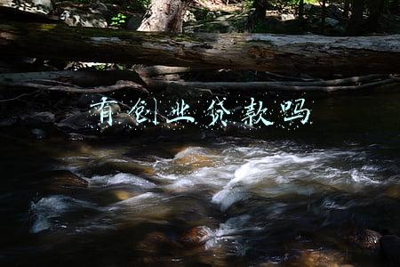 有创业贷款吗