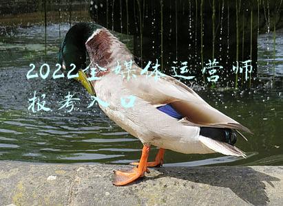 2022全媒体运营师报考入口