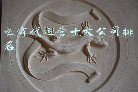 电商代运营十大公司排名