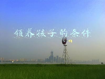 领养孩子的条件