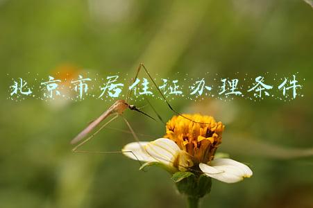北京市居住证办理条件和材料(北京居住证办理流程最新步骤，北京居住证能有什么用途？)