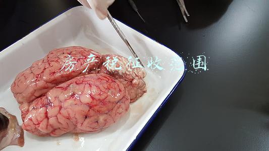 房产税征收范围包括商铺吗(门面房要交房产税吗？)
