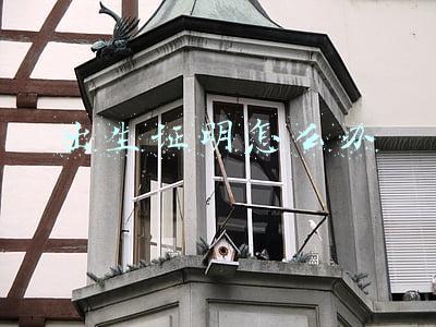 出生证明怎么办