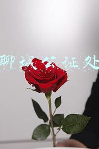 聊城公证处
