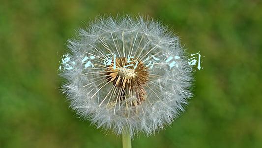 总公司与分公司