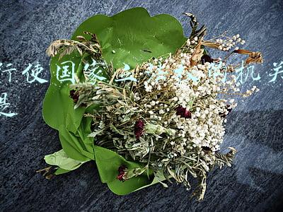 行使国家立法权的机关是