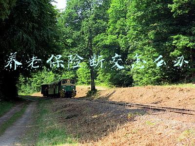 养老保险断交怎么办