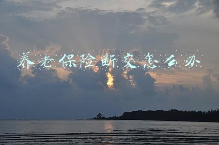养老保险断交怎么办