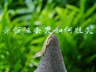 身份证丢失如何挂失