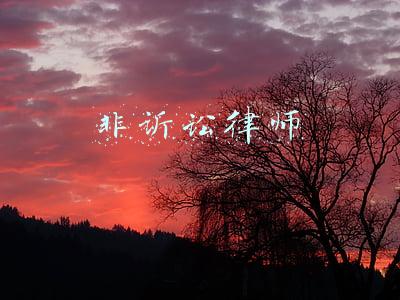 非诉讼律师