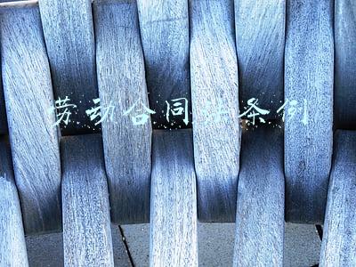劳动合同法条例