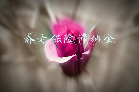 养老保险滞纳金