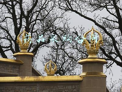 药品采购合同