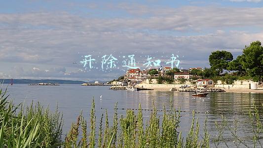 开除通知书