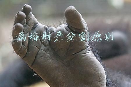离婚财产分割原则有一方出轨(以案释法：夫妻任意一方出轨，离婚财产该怎么分配？)