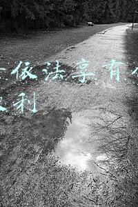 劳动者依法享有什么就业的权利平等公平同等安全(牢记学习强国四人赛题库，幸运女神一定会降临你身上（7）)
