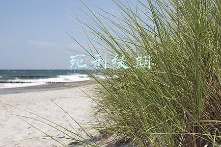 死刑缓期执行的期间从什么起计算(汪永刚：谈“死刑缓期执行的期间重新计算”中起算点的合理安排)