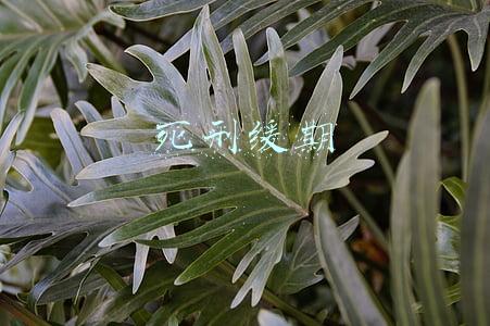 死刑缓期