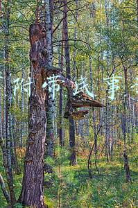 刑事附带民事诉状2020年范本(刑事附带民事起诉状范本)