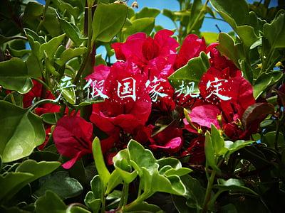 产假国家规定